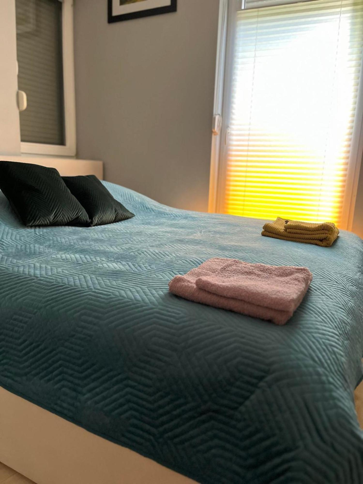 Apartament U Buni 弗罗茨瓦夫 外观 照片